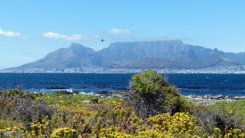 Cape Town/10892672