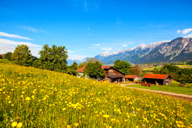 Tirol Bauernhof/10932647
