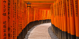 Fushimi Inari Schrein/10942143