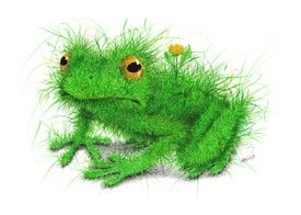 Grasfrosch/10947047