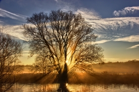 Ruhr - Gold/10957261