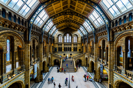 Natural History Museum/10977050