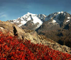 Dreiherrenspitze/11002424