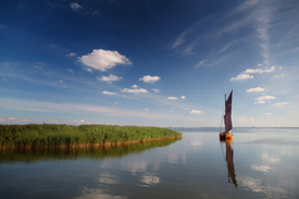 Zeesboot Segeln/11035399