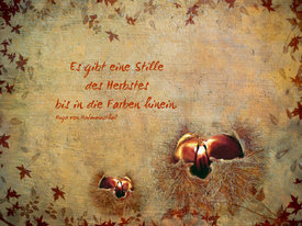 Herbstimpressionen/11035455