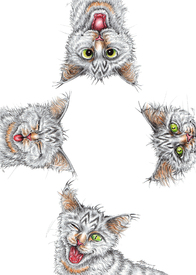 1 Kater x 4/11053297