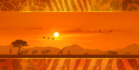 Afrika dekorativ Variante 1 /11057397