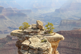 Grand Canyon/11063177