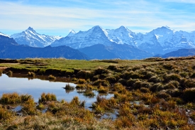 Berner Alpen/11080457