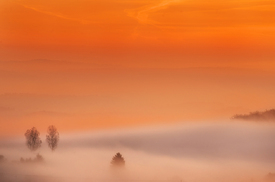 Weil einfach einfach einfach ist/11092905