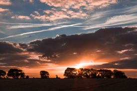 sundown/11095693
