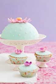 Kuchen und Cupcakes/11152550