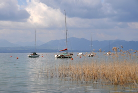 Lago di Garda/11299368