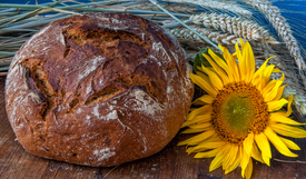 Unser täglich Brot.../11301852