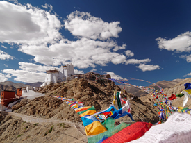 Namgyal Tsemo Gompa/11328137