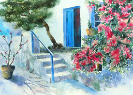 Bougainvillea/11329615