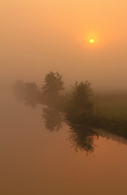 Bäume am Wasser/11347610