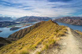 Roys Peak Track/11360924