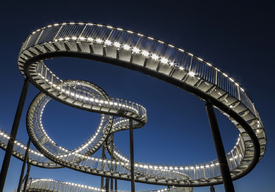 tiger and turtle/11370341