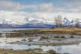 Ofotfjorden/11427677