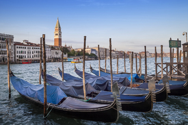 VENEDIG Canal Grande & Markusturm /11442992