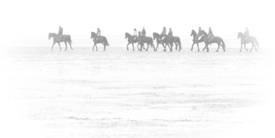 Reiter auf dem Wattenmeer/11467342