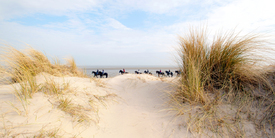 Langeoog © wompus/11468426