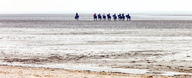 Reiter auf dem Wattenmeer/11472693