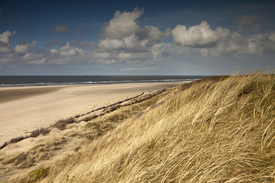 Dünen auf Spiekeroog/11505374