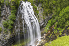 Snoqualmi Falls/11540276