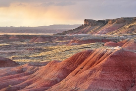 Painted Desert/11548958