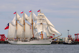 Die Esmeralda auf der Sail In 2015/11555842