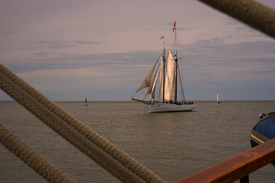 Abendstimmung auf der Sail In Bremerhaven 2015/11555904