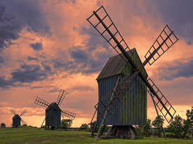 Drei Windmühlen im Abendlicht auf Öland/11569374