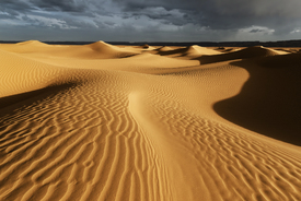 Sanddünen der Sahara Wüste/11577588