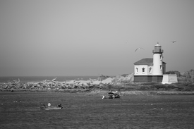 Coquille River Lighthouse/11579734