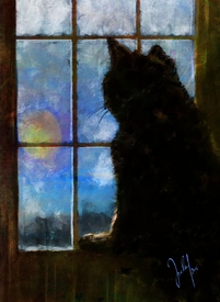 all cats are grey by night/11580472