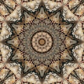 Mandala Isolation/11590780