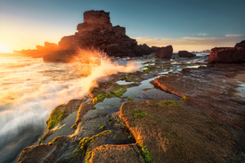 Goldig und wild Praia de Castelejo  Algarve/11591264