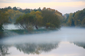 Frühnebel/11609079