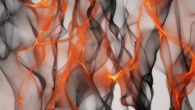 Dynamic orange/11617557
