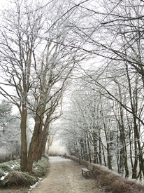 Kalter Weg/11661358