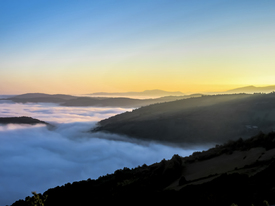 Morgens auf dem Jakobsweg/11668886