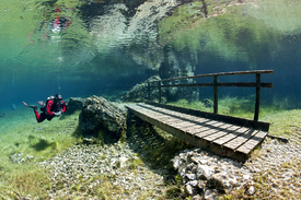 Grüner See - Steg/11669942