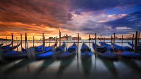 timeless venice/11670986