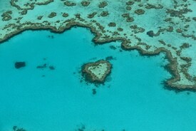 Heart Reef/11689038