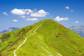 Wanderweg, Allgäu/11703946