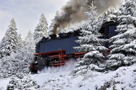 Brockenbahn im Winter/11709176