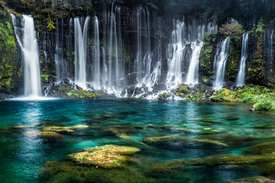 Shiraito Wasserfälle in Fujinomiya Japan/11714758