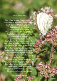 Das Leben/11794612